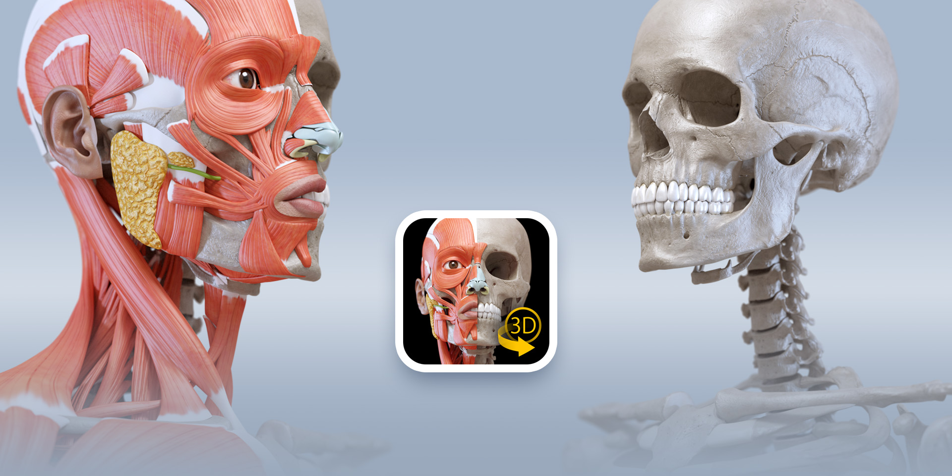 human anatomy atlas 2017 edition for mac