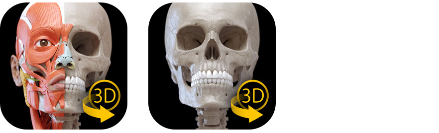 3D Atlas of Anatomy